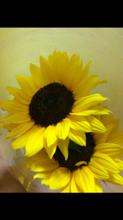 f0085810_18451044.png
