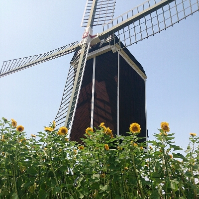 d0326314_2339427.jpg