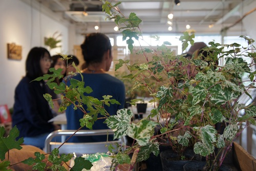 7月21日 トークイベント&苔玉ワークショップ_f0190816_9441139.jpg