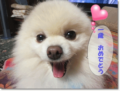 b0167519_16484563.gif