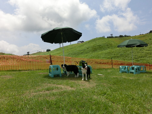 三連休中日・・・夏の箱館山_e0179321_2033064.jpg