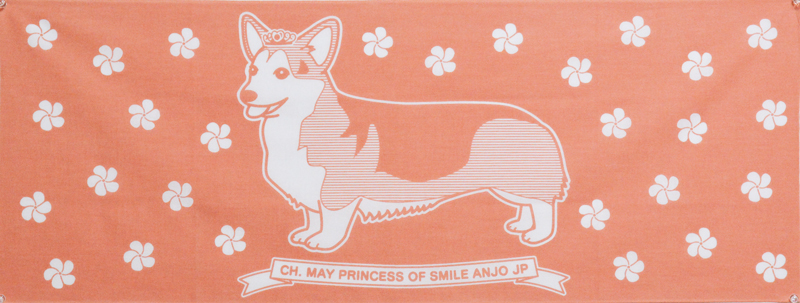めぃちゃん お祝い手ぬぐい_d0102523_1135526.jpg