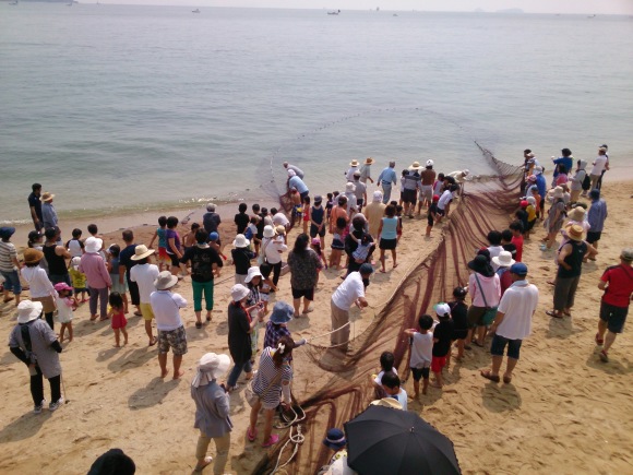 毎年恒例の大浜漁協主催 地引き網が伊豫水軍前の海岸で行われました_b0325627_16503731.jpg