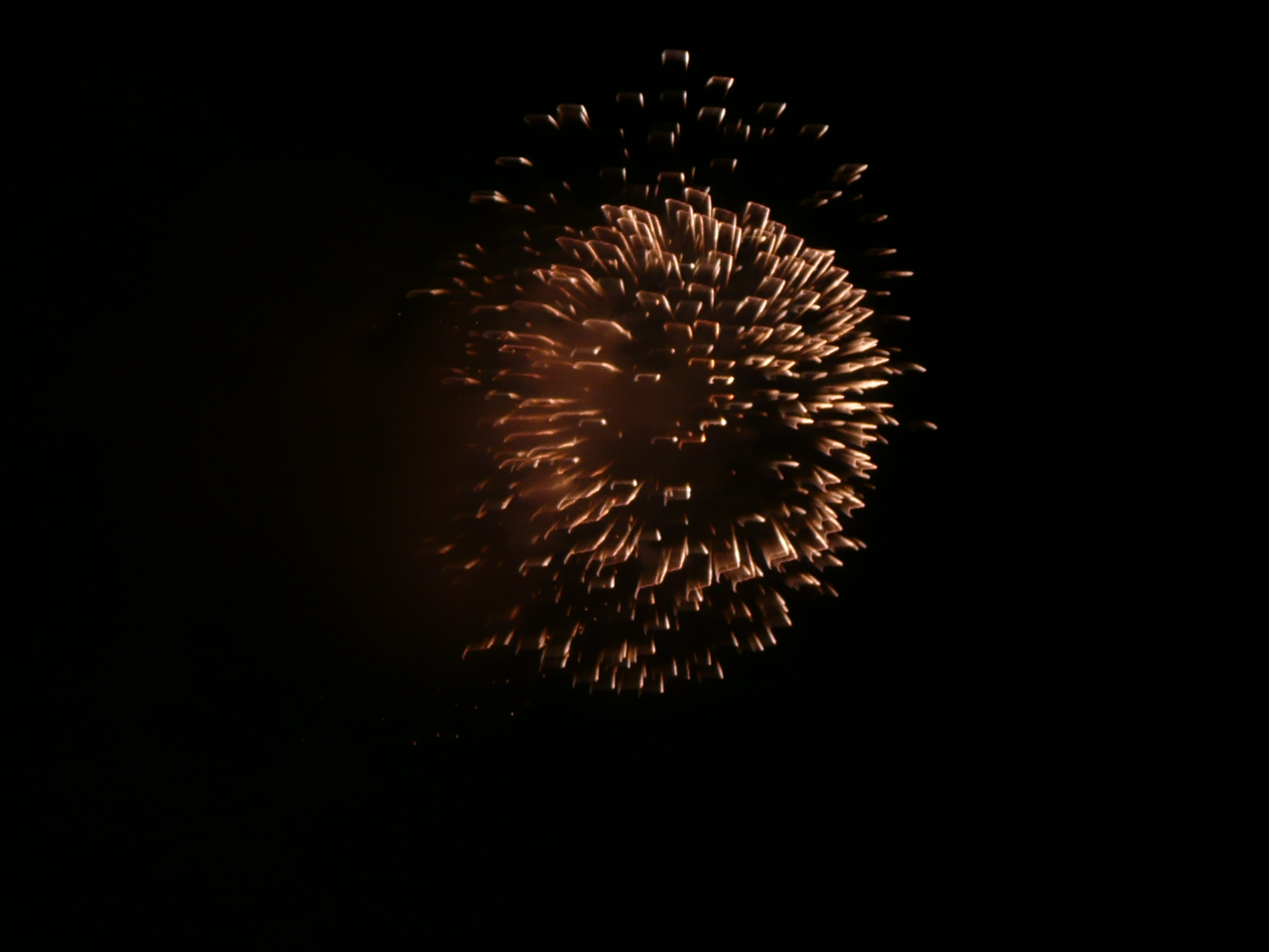 c0009528_11484569.jpg