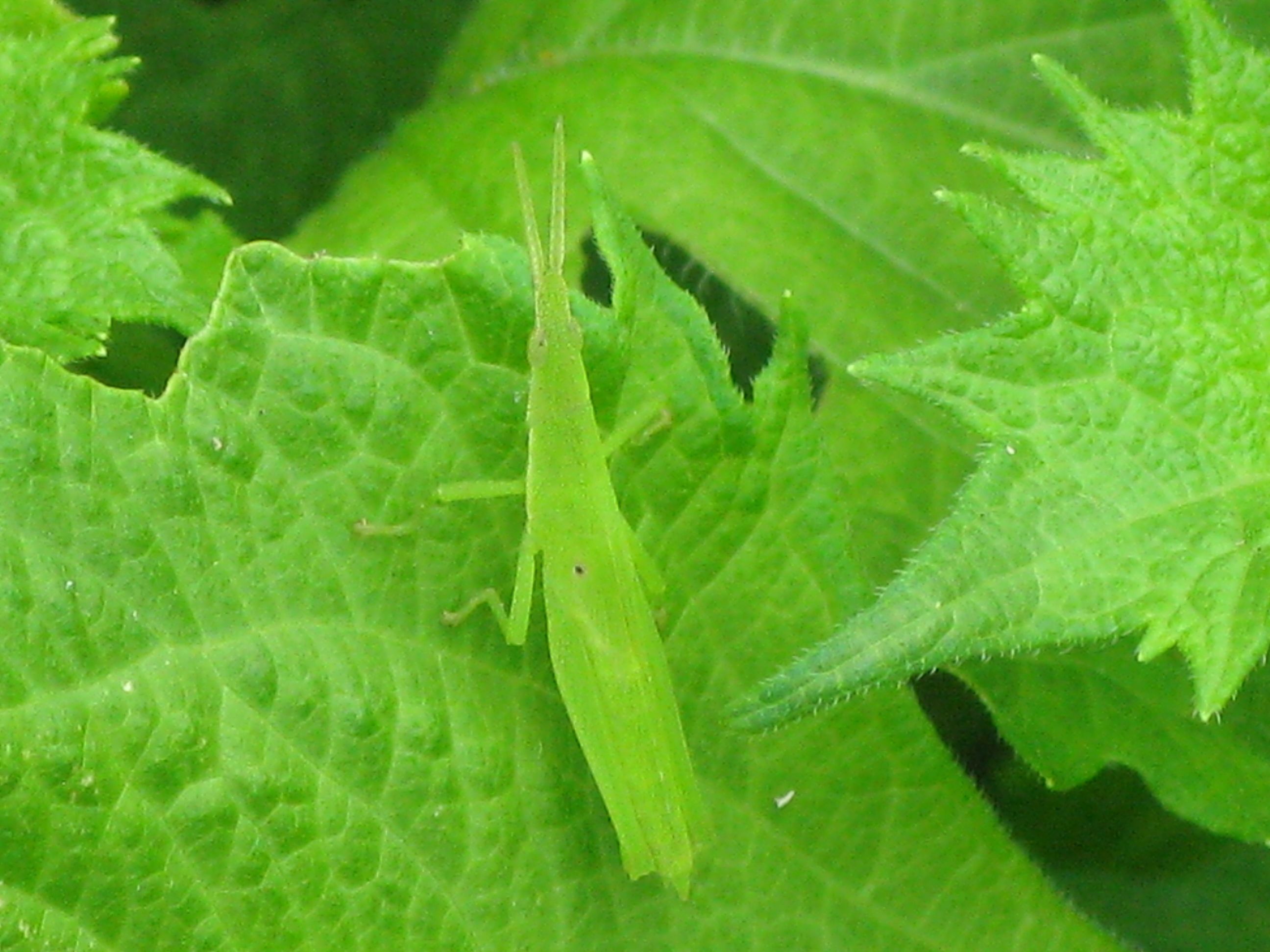 d0323231_15465891.jpg