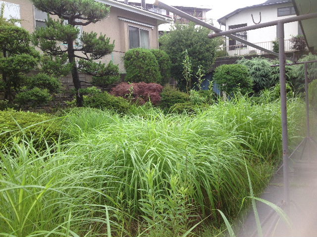 現場確認 1_f0031037_18221663.jpg
