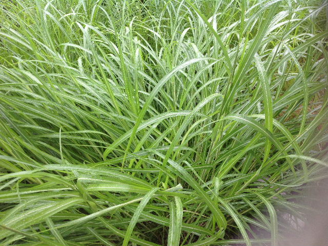 現場確認 1_f0031037_18222257.jpg