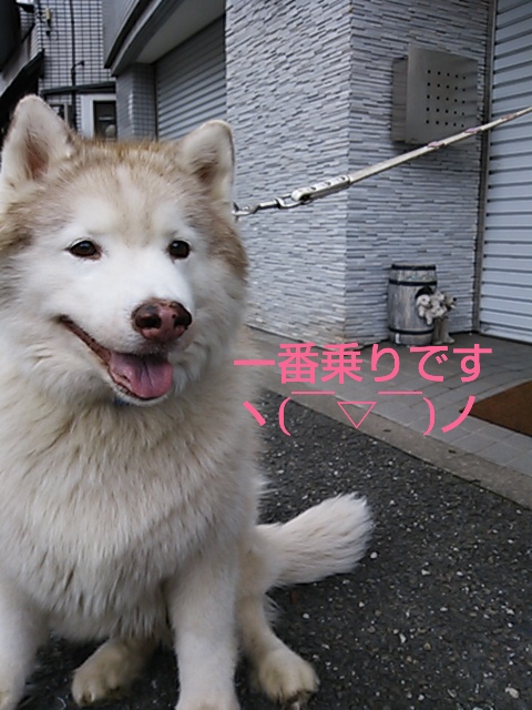 e0121548_1541628.jpg