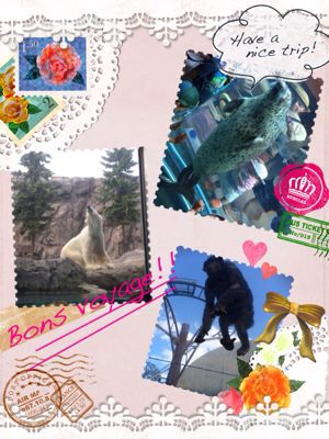 北海道の旅〜(≧∇≦)番外編_a0258349_14485261.jpg
