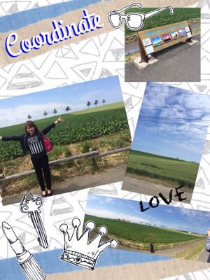 北海道の旅〜(≧∇≦)番外編_a0258349_14485316.jpg