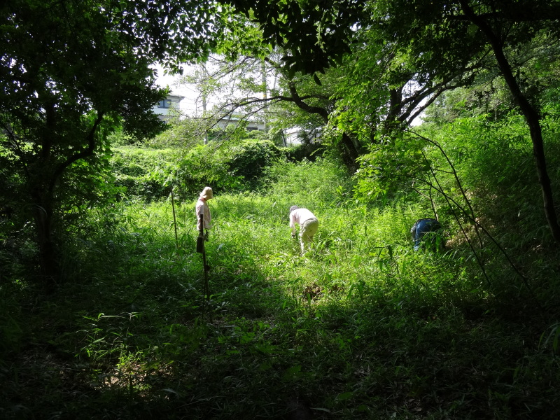 c0108460_21400961.jpg