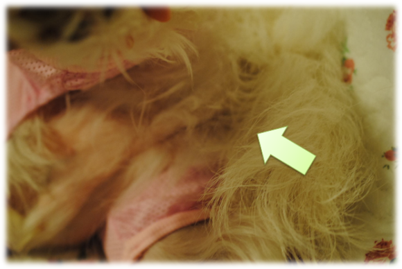 b0242873_08494367.png
