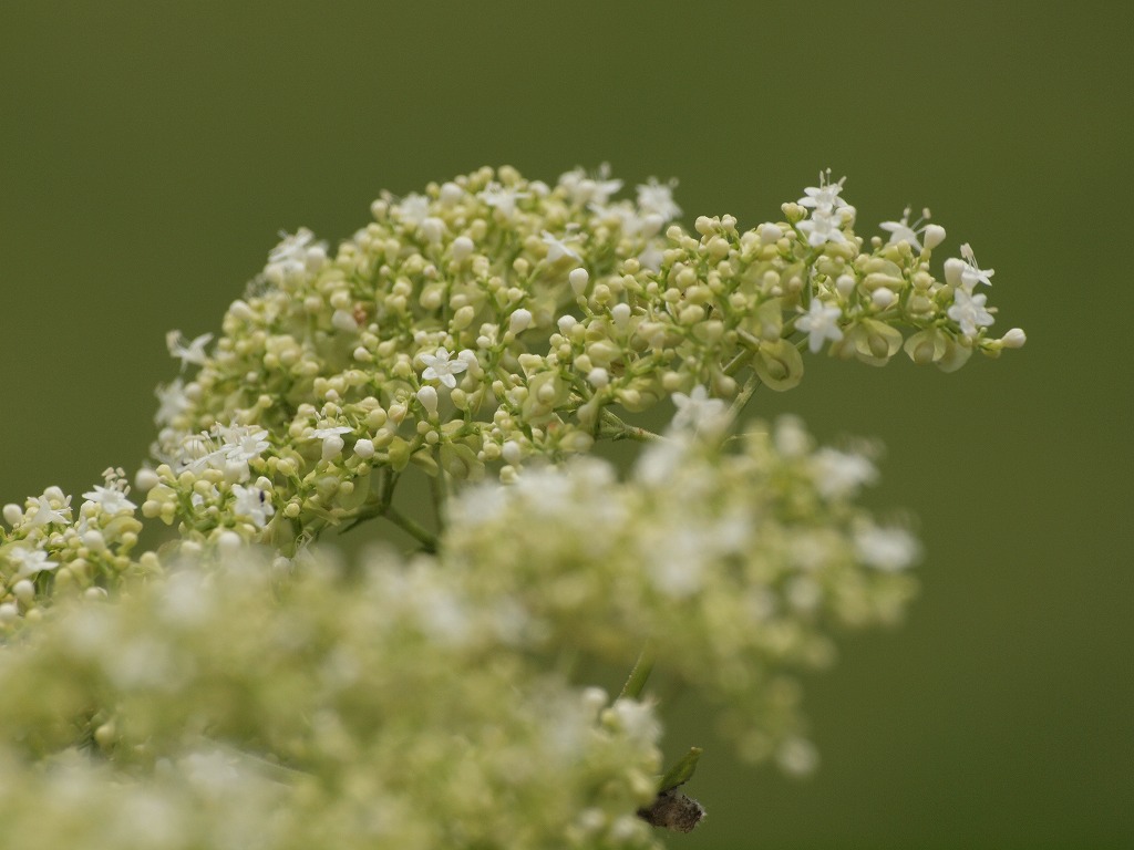 d0054276_21213355.jpg