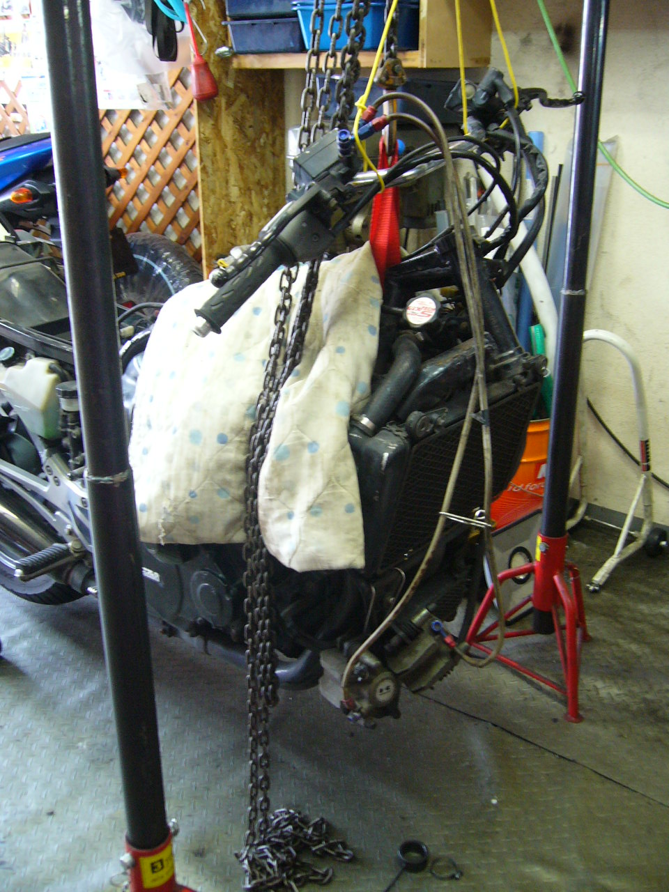 キバッて 行かないと・・_b0133403_11422447.jpg