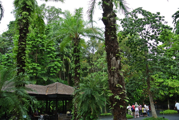 b0009106_17363733.jpg
