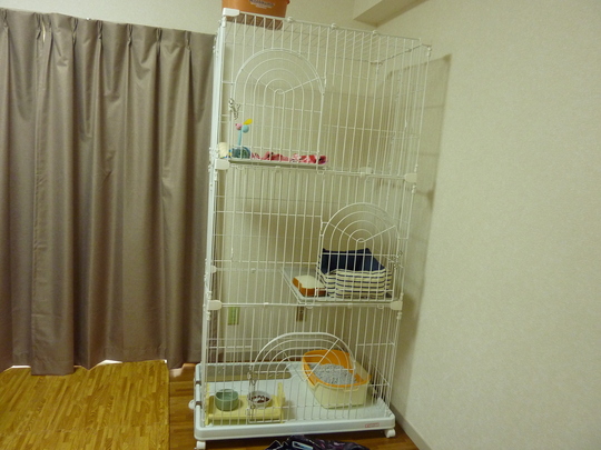 d0171907_14481518.jpg