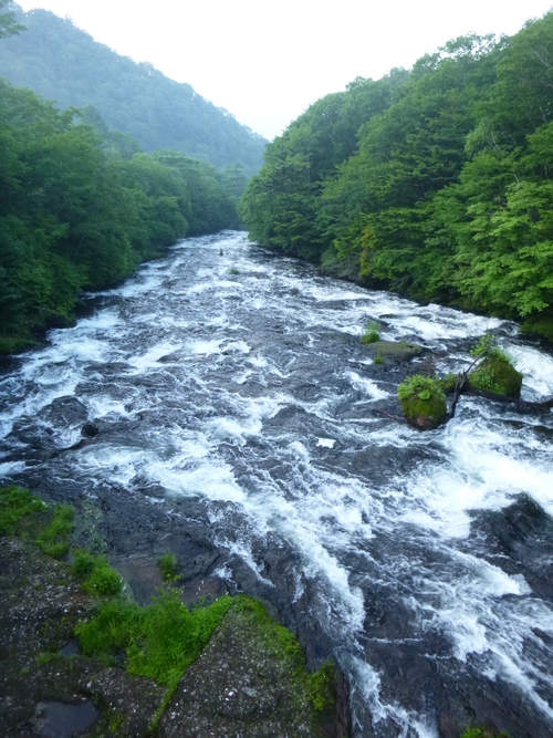 a0236914_7505469.jpg