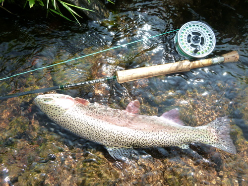 a0236914_7522695.jpg