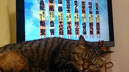f0220919_15401321.jpg