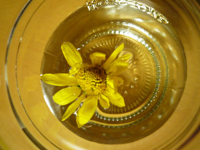 c0172724_17501318.jpg