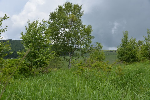 e0335926_10100223.jpg