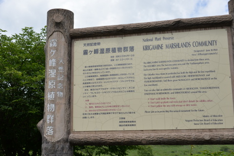 e0335926_10215126.jpg