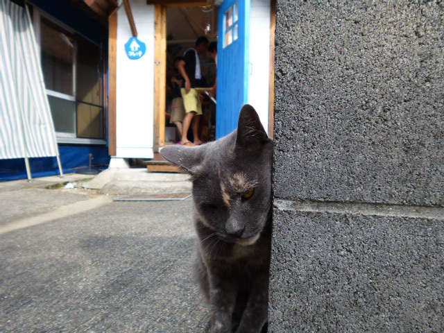 神の住まう島・屋久島　＜観光編＞_a0220528_22222647.jpg