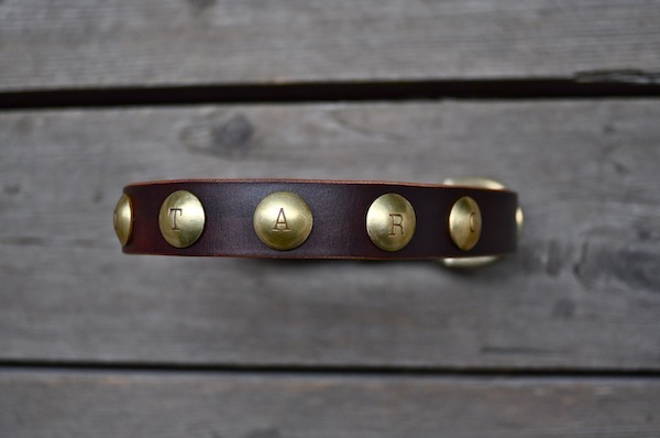dog collar _b0172633_13303719.jpg