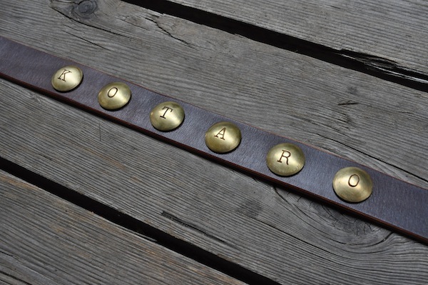 dog collar _b0172633_13303980.jpg