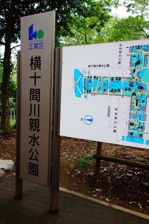 a0287336_1391610.jpg