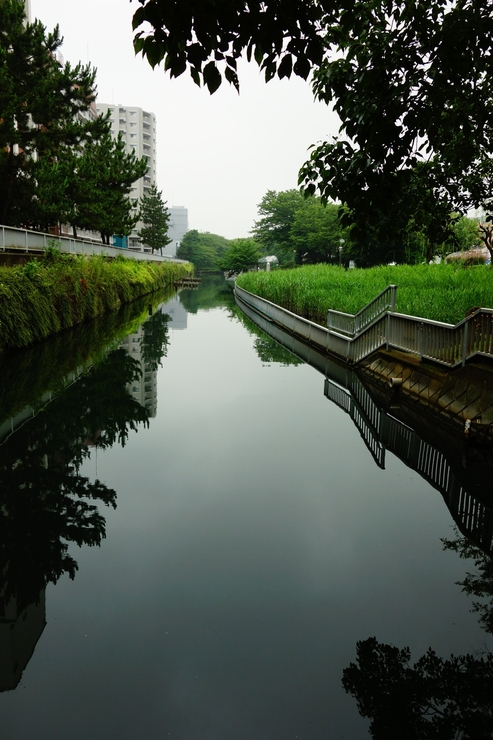 江東区 和船友の会 和船乗船体験に行ってみた その2_a0287336_15224917.jpg