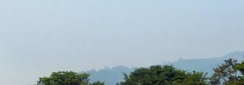 b0063436_10283512.jpg