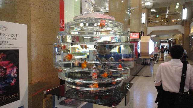 f0208737_8144955.jpg