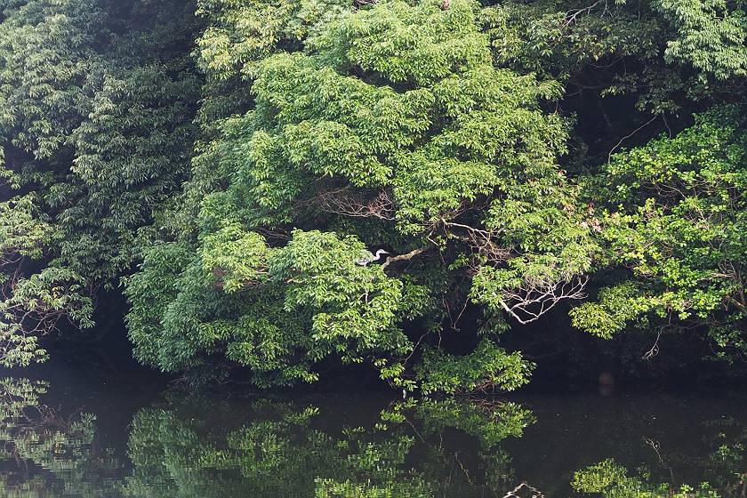 c0075539_17251640.jpg