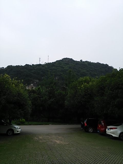 f0323239_15491079.jpg