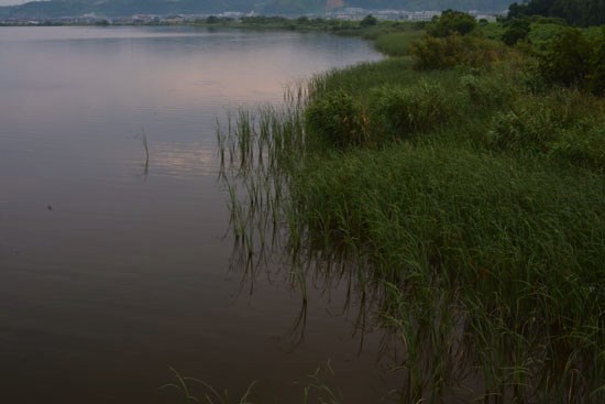 c0093046_64046100.jpg