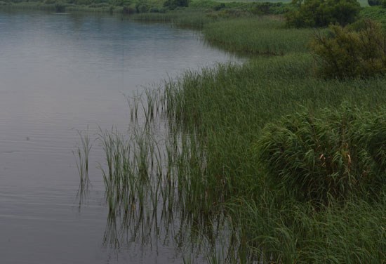 c0093046_64126.jpg