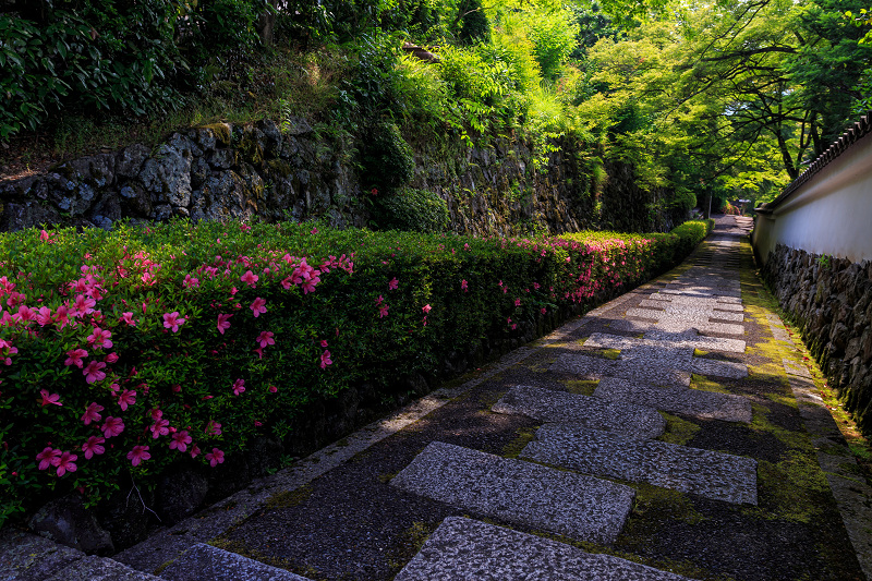 サツキに彩られる善峯寺_f0155048_1894786.jpg