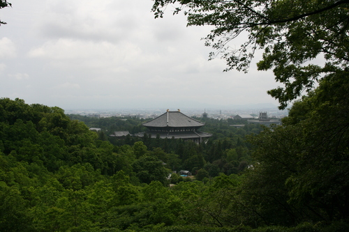 f0301753_23242664.jpg