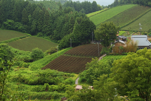 f0301753_2324582.jpg