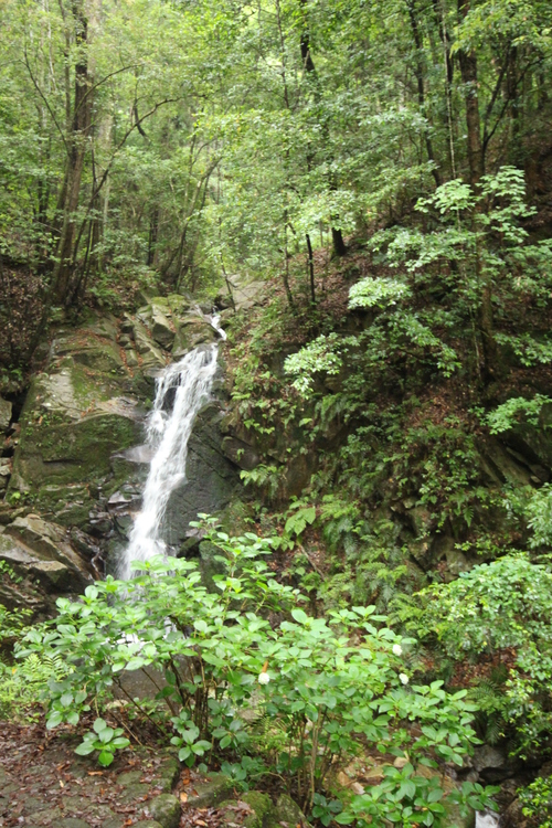 f0301753_23542721.jpg