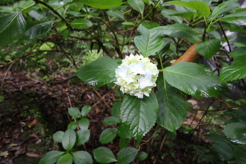 f0301753_2354402.jpg