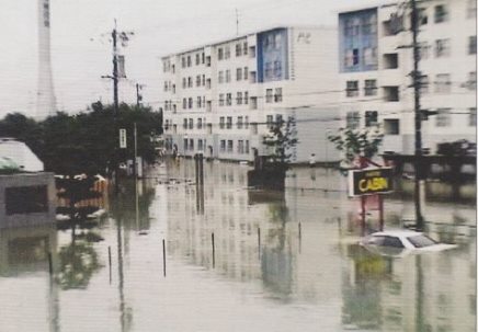 荒崎水害訴訟終結(2)_f0197754_1442882.jpg