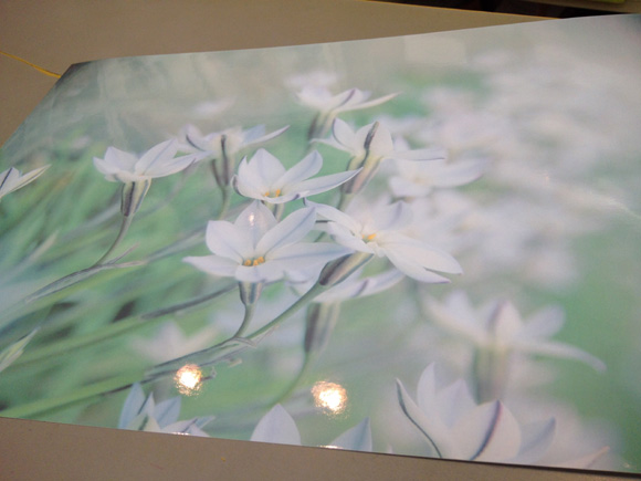 ◆今年も「30.000人の写真展」へ出品中 &ボツ個展(笑)_b0008655_09161120.jpg