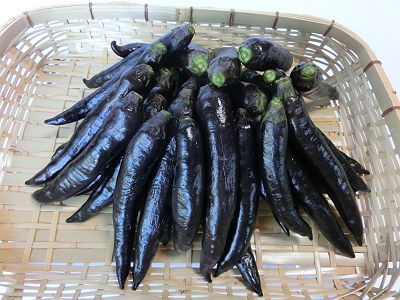黒ししとう って 作家と不思議なカレー の話 黒ししとう って 作家と不思議なカレー の話