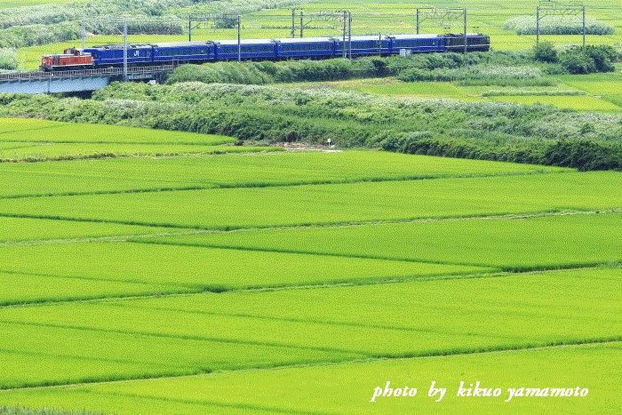 c0206178_00300411.jpg
