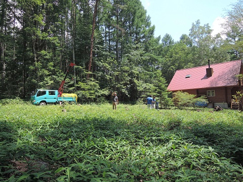 大泉町F橋さんの土地より 3_a0211886_135545100.jpg