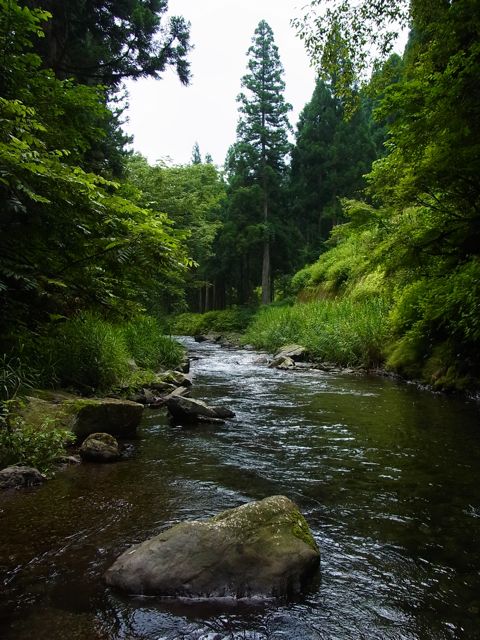 a0089288_21132673.jpg