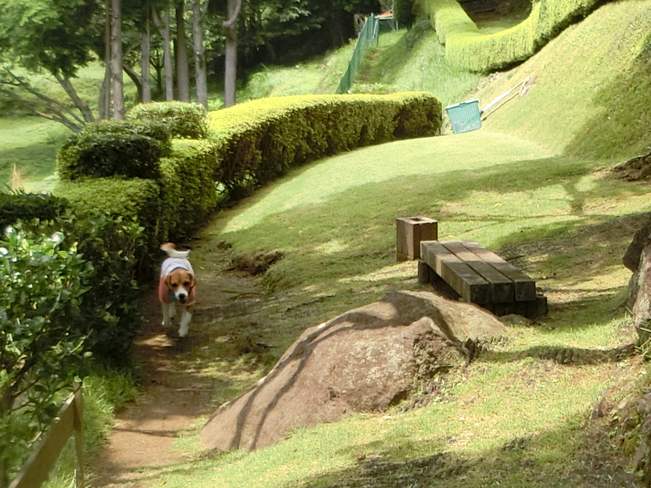 a0319693_16243487.jpg