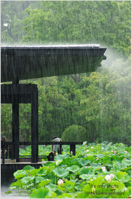 雨の日は blue 。。。_e0008800_20202566.jpg